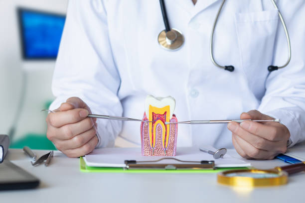 Best Emergency Wisdom Teeth Removal in Ansonia, OH
